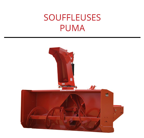 Accueil_puma